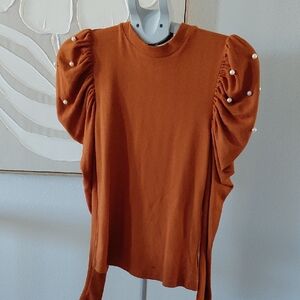 Elegant Rust Puff Sleeve Top